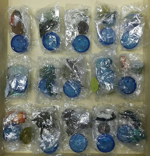 KAIYODO 海洋堂 荒俣宏 日本水族館立體生物圖錄 第二彈 紅腹食人魚 射水魚 稻田魚 皇后神仙 無斑箱魨 吸盤魚 鯨鯊 美國白鱘 彩色水母 珍珠鸚鵡螺 加菲蟹 桂花負蝽 楓葉龜 冠企鵝 海獺 連額外版 企鵝 扭蛋套裝 ARAMATA HIROSHI CAPSULE AQUARIUM SERIES 2 WITH BONUS SET (BUY)
