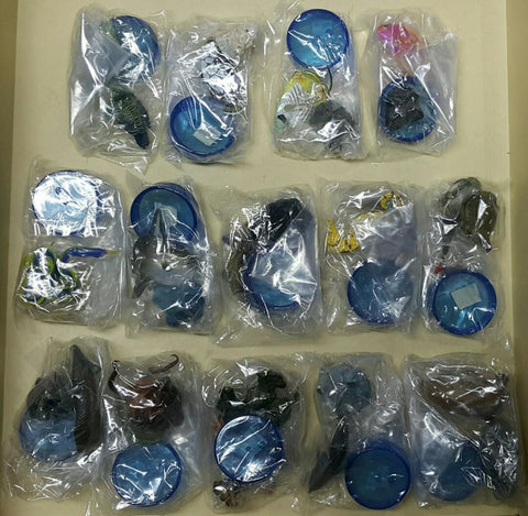 KAIYODO 海洋堂 荒俣宏 日本水族館立體生物圖錄 第一彈 蘇眉魚 小丑砲彈 揚旛蝴蝶魚 側帶花鮨 五彩鰻 翻車魚 沙虎鯊 管海馬 紅尾鯰 巨骨舌魚 普通章魚 長足龍蝦 尖吻海豚 海象 連額外版 企鵝 扭蛋套裝 ARAMATA HIROSHI CAPSULE AQUARIUM SERIES 1 WITH BONUS SET (BUY)