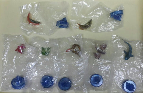 KAIYODO 海洋堂 荒俣宏 日本水族館立體生物圖錄 第三彈 龍吐珠 雀魚 豹紋海鱔 獅子魚 短尾真鯊 澳洲皇帝蟹 豬鼻龜 洪氏環企鵝 斑海豹 虎鯨 殺人鯨 藍鯨(骨格) 扭蛋套裝 ARAMATA HIROSHI CAPSULE AQUARIUM 3 SET (BUY)