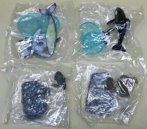 BANDAI 08191 世界自然基金會 世界自然動物 親子家庭系列 海洋編 基本版 座頭鯨 虎鯨 殺人鯨 海狗 海象 海豹 尖吻海豚 南方冠企鵝 皇帝企鵝 海牛 鯨鯊 海獺 魔鬼魚 北極熊 盒蛋套裝 WORLD WIDE FUND FOR NATURE WORLD NATURAL ANIMALS PARENT-CHILD FAMILY SERIES OCEAN EDITION BASIC SET (BUY-CW)
