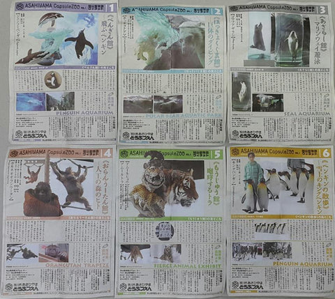 KAIYODO 海洋堂 旭山動物園 官方商品 第一彈 企鵝水族館 北極熊水上樂園 海豹水族館 紅毛猩猩樂園 凶猛動物展示 扭蛋套裝 ASAHIYAMA CAPSULE ZOO VOL.1 ASAHIYAMA ZOO OFFICIAL GOODS PENGUIN AQUARIUM POLAR BEAR AQUATIC PARK SEAL AQUARIUM ORANGUTAN TRAPEZE FIERCE ANIMAL EXHIBIT SET (BUY-CW) 存