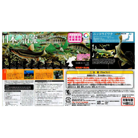 KITAN CLUB 奇譚 日本的清流 溪魚 NATURE TECHNI COLOUR 全10種連隱藏版 扭蛋 (BUY-NTC-SPK)