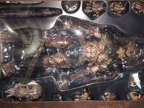 HOT TOYS 2011 TOY FAIRS EXCLUSIVE MMS154 PREDATOR 2 SHADOW PREDATOR 鐵血戰士 1/6 FIGURE 1139322531