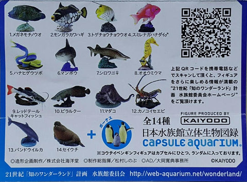KAIYODO 海洋堂 荒俣宏 日本水族館立體生物圖錄 第一彈 蘇眉魚 小丑砲彈 揚旛蝴蝶魚 側帶花鮨 五彩鰻 翻車魚 沙虎鯊 管海馬 紅尾鯰 巨骨舌魚 普通章魚 長足龍蝦 尖吻海豚 海象 連額外版 企鵝 扭蛋套裝 ARAMATA HIROSHI CAPSULE AQUARIUM SERIES 1 WITH BONUS SET (BUY)
