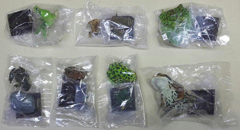 KITAN CLUB 17005 豐平兩生爬蟲類研究所監修 以科技還原大自然的色彩 兩棲類方舟 日本蛙類 日本蟾蜍 石川蛙 蝦夷赤蛙 河鹿蛙 森青蛙 姫雨蛙 日本雨蛙 連隱藏版 東京達摩蛙 扭蛋套裝 NATURE TECHNI COLOUR AMPHIBIAN ARK JAPANESE FROG WITH SECRET SET (BUY-CW) 存