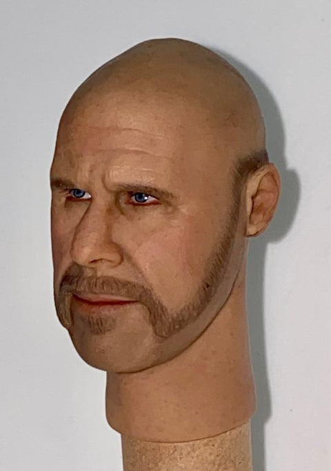 頭玩 HEADPLAY HP0045 1/6 頭雕 HEAD PLAY CUSTOM MADE RON PERLMAN HELLBOY 天魔特攻 HEAD SCULPT PIU176