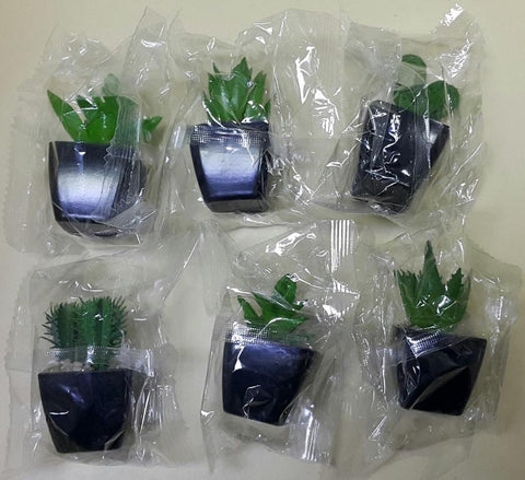 KORO KORO 01038 桌上仿真盆栽 多肉植物第二彈  扭蛋套裝 DESKTOP GARDEN SUCCULENT PLANTS 2 CHEYENNE COTYLEDON DECUSSARA OPUNTIA ECHINOCEREUS ASTROLOBA BICARINATA ALOE BREVIFOLIA SET (BUY-SPK) 存