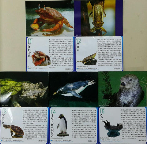 KAIYODO 海洋堂 荒俣宏 日本水族館立體生物圖錄 第二彈 紅腹食人魚 射水魚 稻田魚 皇后神仙 無斑箱魨 吸盤魚 鯨鯊 美國白鱘 彩色水母 珍珠鸚鵡螺 加菲蟹 桂花負蝽 楓葉龜 冠企鵝 海獺 連額外版 企鵝 扭蛋套裝 ARAMATA HIROSHI CAPSULE AQUARIUM SERIES 2 WITH BONUS SET (BUY)