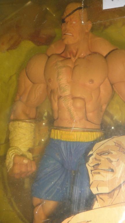 SOTA TOYS 街頭霸王 STREET FIGHTER 15th ROUND 1 SAGAT ACTION FIGURE (BUY-00910)