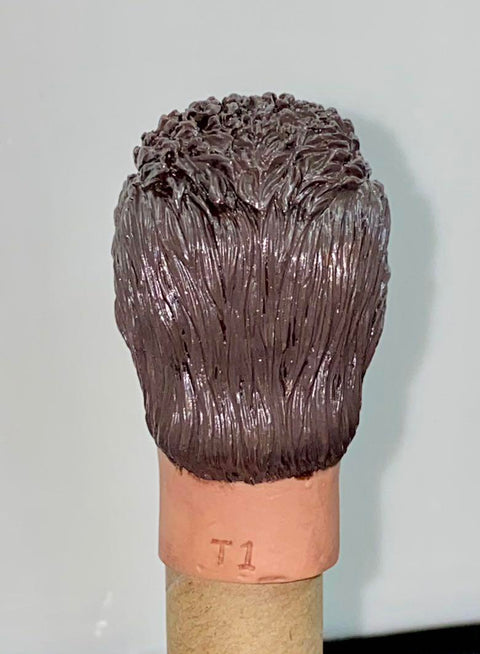 1:6 TOYS CUSTOM HOT MOVIE 散件 未來戰士 THE TERMINATOR (T1) - T800 頭雕 HEAD SCULPT (PIU80SA)