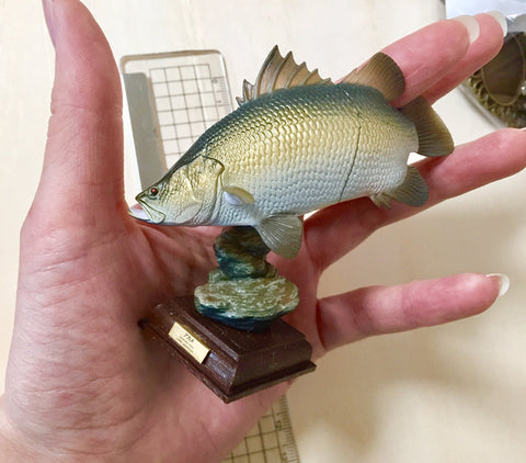 KITAN CLUB 奇譚 日本的清流 溪魚 NATURE TECHNI COLOUR 全10種連隱藏版 扭蛋 (BUY-NTC-CW)