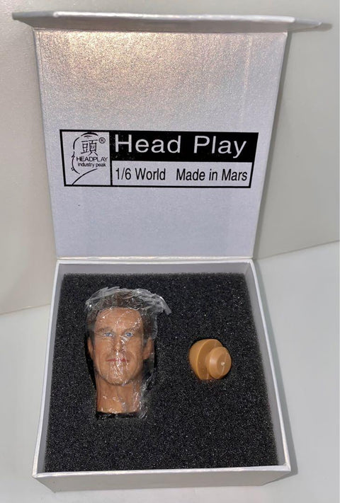 頭玩 HEADPLAY 1/6 頭雕 HEAD PLAY HP0076 CUSTOM MADE BATMAN The Dark Knight TWO FACE 阿朗 艾格 AARON ECKHART HEAD SCULPT PIU176