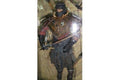 TOY BIZ 81508 魔戒三部曲 射手 THE LORD OF THE RINGS THE RETURN OF THE KING HARADRIM ARCHER EVIL WARRIOR (LOTR)
