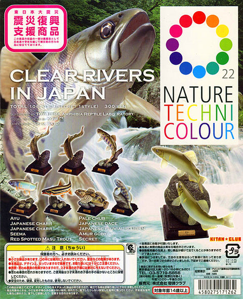 KITAN CLUB 奇譚 日本的清流 溪魚 NATURE TECHNI COLOUR 全10種連隱藏版 扭蛋 (BUY-NTC-CW)