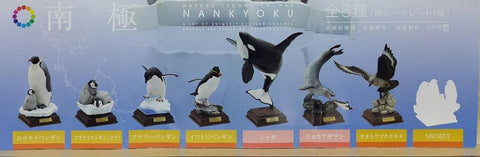 KITAN NATURE TECHNI COLOUR NANKYOKU EMPEROR PENGUIN EMPEROR PENGUIN CHILDREN ADELIE PENGUIN ROCKHOPPER PENGUIN KILLER WHALE LEOPARD SEAL SOUTH POLAR SKUA 南極 皇帝企鵝 阿德利企鵝 南方冠企鵝 虎鯨 殺人鯨 豹斑海豹 南極賊鷗 扭蛋套裝 (BUY-17431-CW) 存