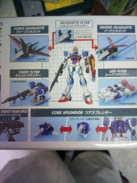 BANDAI 38528 高達模型 脈衝高達電渡限定版 1/100 全新品未開封 seed destiny no.10 (C802-401))
