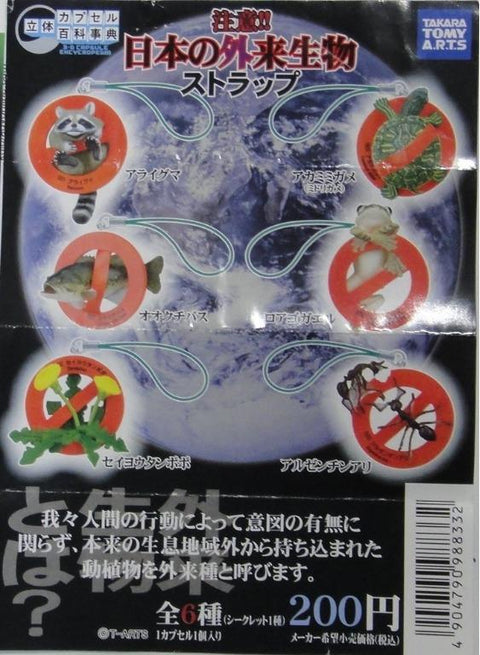 TAKARA TOMY 98833 ARTS 立體百科事典 日本外來生物 吊飾 3D CAPSULE ENCYCLOPEDIA 全7種 (BUY)