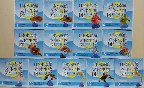 KAIYODO 海洋堂 荒俣宏 日本水族館立體生物圖錄 第三彈 龍吐珠 雀魚 豹紋海鱔 獅子魚 短尾真鯊 澳洲皇帝蟹 豬鼻龜 洪氏環企鵝 斑海豹 虎鯨 殺人鯨 藍鯨(骨格) 扭蛋套裝 ARAMATA HIROSHI CAPSULE AQUARIUM 3 SET (BUY)