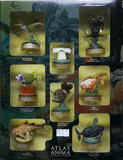 KAIYODO 海洋堂 荒俣宏 世界轉物畫 立體圖鑑 第一彈 雙髻鯊 鯨鯊 皇后神仙 北極鯨 大頭飛魚 吸血章魚 鯽魚 約氏黑角鮟鱇 連 展示盒 扭蛋套裝 ARAMATA HIROSHI ATLAS ANIMA 3D SERIES 1 WITH DISPLAY BOX SET (BUY-CW) 存