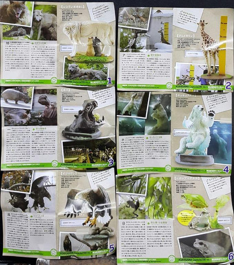 KAIYODO ASAHIYAMA CAPSULE ZOO VOL.5 ASAHIYAMA ZOO VIGNETTE OFFICIAL GOODS TIMBER WOLF RETICULATED GIRAFFE HIPPOPOTAMUS POLAR BEAR WHITE-TAILED SEA-EAGLE JAPANESE TREE FROG SET 旭山動物園 官方商品 大灰狼 網紋長頸鹿 河馬 北極熊 白尾海鵰 日本樹蛙 扭蛋套裝 (BUY-CW) 存