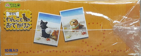 RE-MENT 50211 迷你動物系列 今天和狗狗出去玩 盒蛋套裝 PETIT ANIMAL SERIES GOING OUT WITH A DOG TODAY SET (BUY) L