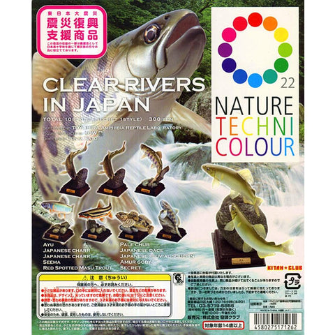 KITAN CLUB 奇譚 日本的清流 溪魚 NATURE TECHNI COLOUR 全10種連隱藏版 扭蛋 (BUY-NTC-SPK)
