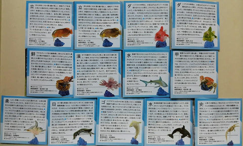 KAIYODO 海洋堂 荒俣宏 日本水族館立體生物圖錄 第三彈 龍吐珠 雀魚 豹紋海鱔 獅子魚 短尾真鯊 澳洲皇帝蟹 豬鼻龜 洪氏環企鵝 斑海豹 虎鯨 殺人鯨 藍鯨(骨格) 扭蛋套裝 ARAMATA HIROSHI CAPSULE AQUARIUM 3 SET (BUY)