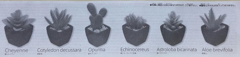 KORO KORO 01038 桌上仿真盆栽 多肉植物第二彈  扭蛋套裝 DESKTOP GARDEN SUCCULENT PLANTS 2 CHEYENNE COTYLEDON DECUSSARA OPUNTIA ECHINOCEREUS ASTROLOBA BICARINATA ALOE BREVIFOLIA SET (BUY-SPK) 存