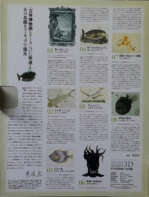KAIYODO 海洋堂 荒俣宏 世界轉物畫 立體圖鑑 第一彈 雙髻鯊 鯨鯊 皇后神仙 北極鯨 大頭飛魚 吸血章魚 鯽魚 約氏黑角鮟鱇 連 展示盒 扭蛋套裝 ARAMATA HIROSHI ATLAS ANIMA 3D SERIES 1 WITH DISPLAY BOX SET (BUY-CW) 存