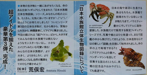 KAIYODO 海洋堂 荒俣宏 日本水族館立體生物圖錄 第三彈 龍吐珠 雀魚 豹紋海鱔 獅子魚 短尾真鯊 澳洲皇帝蟹 豬鼻龜 洪氏環企鵝 斑海豹 虎鯨 殺人鯨 藍鯨(骨格) 扭蛋套裝 ARAMATA HIROSHI CAPSULE AQUARIUM 3 SET (BUY)
