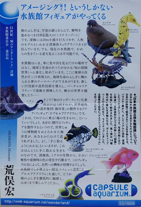 KAIYODO 海洋堂 荒俣宏 日本水族館立體生物圖錄 第一彈 蘇眉魚 小丑砲彈 揚旛蝴蝶魚 側帶花鮨 五彩鰻 翻車魚 沙虎鯊 管海馬 紅尾鯰 巨骨舌魚 普通章魚 長足龍蝦 尖吻海豚 海象 連額外版 企鵝 扭蛋套裝 ARAMATA HIROSHI CAPSULE AQUARIUM SERIES 1 WITH BONUS SET (BUY)