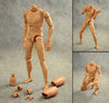 1/6 Nude Body B001 素體 Normal Shoulder Fit 12&quot; HT TTM Male Figure Soldier (PIU88SA)