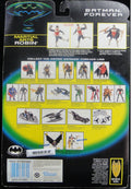 KENNER 蝙蝠俠 羅賓 BATMAN FOREVEcR DELUXE MARTIAL ARTS ROBIN WITH NINJA KICKING ACTION AND BATTLE WEAPONS 64162 (CSW) b26897604