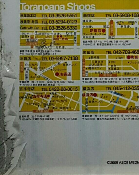ASCII MEDIA WORKS 60049 電擊G'S MAGAZINE 2009年4月號增刊 電擊G'S FESTIVAL VOL.15 付録  總力特集 夜明前的琉璃色 MOONLIGHT CRADLE 連豪華3大付録 HONEYMOON BOX 菲娜·法姆·阿修萊特 婚紗版攬枕套 艾斯蒂爾·弗利西亞 滑鼠墊 辛西婭·瑪格麗特 携帯式清潔器 套裝 (BUY-MC) L