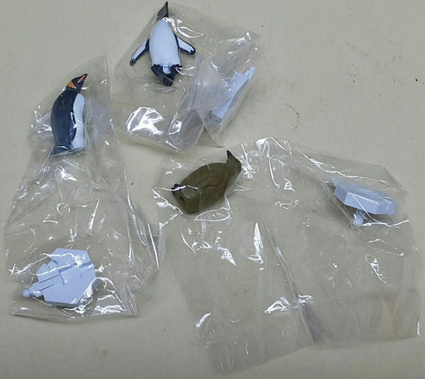 KAIYODO 海洋堂 荒俣宏 日本水族館立體生物圖錄 第二彈 紅腹食人魚 射水魚 稻田魚 皇后神仙 無斑箱魨 吸盤魚 鯨鯊 美國白鱘 彩色水母 珍珠鸚鵡螺 加菲蟹 桂花負蝽 楓葉龜 冠企鵝 海獺 連額外版 企鵝 扭蛋套裝 ARAMATA HIROSHI CAPSULE AQUARIUM SERIES 2 WITH BONUS SET (BUY)