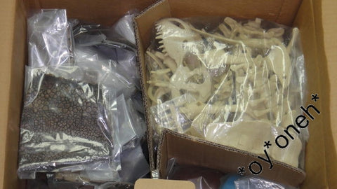 GEOWORLD GEOREX DINOSAUR TYRANNOSAIRIS REX SKELETON ORGANS AND SKIN 1/8 MODEL KIT 恐龍 暴龍 模型 (C791#69 倉) b31965657