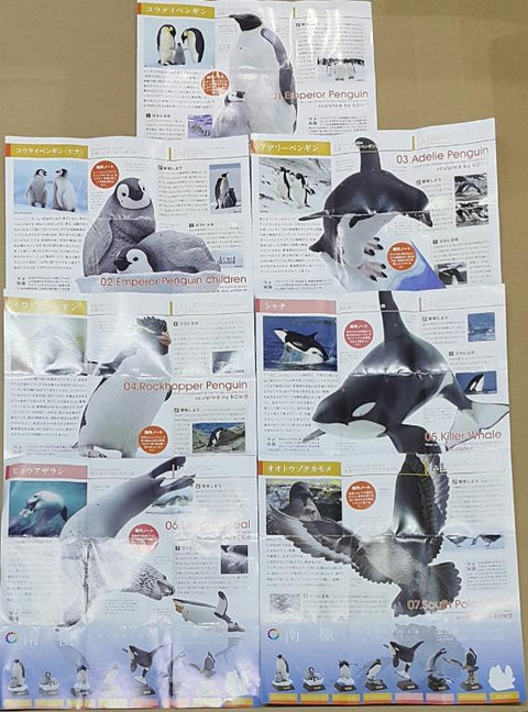 KITAN NATURE TECHNI COLOUR NANKYOKU EMPEROR PENGUIN EMPEROR PENGUIN CHILDREN ADELIE PENGUIN ROCKHOPPER PENGUIN KILLER WHALE LEOPARD SEAL SOUTH POLAR SKUA 南極 皇帝企鵝 阿德利企鵝 南方冠企鵝 虎鯨 殺人鯨 豹斑海豹 南極賊鷗 扭蛋套裝 (BUY-17431-CW) 存