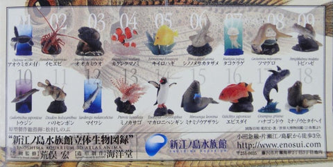 KAIYODO 海洋堂 新江之島水族館立體生物圖錄 連展示盒 荒俣宏 ENOSHIMA AQUARIUM WITH DISPLAY BOX (BUY)