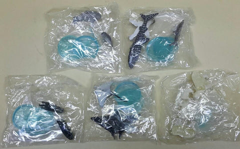 BANDAI 08191 世界自然基金會 世界自然動物 親子家庭系列 海洋編 基本版 座頭鯨 虎鯨 殺人鯨 海狗 海象 海豹 尖吻海豚 南方冠企鵝 皇帝企鵝 海牛 鯨鯊 海獺 魔鬼魚 北極熊 盒蛋套裝 WORLD WIDE FUND FOR NATURE WORLD NATURAL ANIMALS PARENT-CHILD FAMILY SERIES OCEAN EDITION BASIC SET (BUY-CW)
