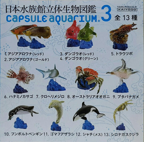 KAIYODO 海洋堂 荒俣宏 日本水族館立體生物圖錄 第三彈 龍吐珠 雀魚 豹紋海鱔 獅子魚 短尾真鯊 澳洲皇帝蟹 豬鼻龜 洪氏環企鵝 斑海豹 虎鯨 殺人鯨 藍鯨(骨格) 扭蛋套裝 ARAMATA HIROSHI CAPSULE AQUARIUM 3 SET (BUY)