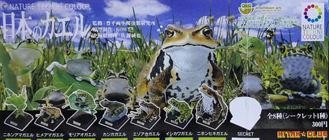KITAN CLUB 17005 豐平兩生爬蟲類研究所監修 以科技還原大自然的色彩 兩棲類方舟 日本蛙類 日本蟾蜍 石川蛙 蝦夷赤蛙 河鹿蛙 森青蛙 姫雨蛙 日本雨蛙 連隱藏版 東京達摩蛙 扭蛋套裝 NATURE TECHNI COLOUR AMPHIBIAN ARK JAPANESE FROG WITH SECRET SET (BUY-CW) 存