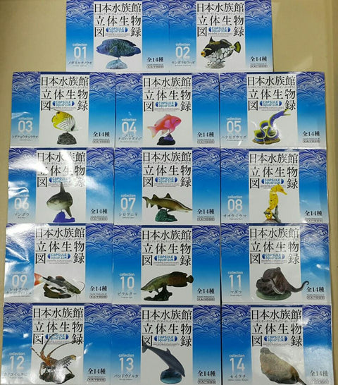 KAIYODO 海洋堂 荒俣宏 日本水族館立體生物圖錄 第一彈 蘇眉魚 小丑砲彈 揚旛蝴蝶魚 側帶花鮨 五彩鰻 翻車魚 沙虎鯊 管海馬 紅尾鯰 巨骨舌魚 普通章魚 長足龍蝦 尖吻海豚 海象 連額外版 企鵝 扭蛋套裝 ARAMATA HIROSHI CAPSULE AQUARIUM SERIES 1 WITH BONUS SET (BUY)
