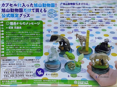KAIYODO ASAHIYAMA CAPSULE ZOO VOL.5 ASAHIYAMA ZOO VIGNETTE OFFICIAL GOODS TIMBER WOLF RETICULATED GIRAFFE HIPPOPOTAMUS POLAR BEAR WHITE-TAILED SEA-EAGLE JAPANESE TREE FROG SET 旭山動物園 官方商品 大灰狼 網紋長頸鹿 河馬 北極熊 白尾海鵰 日本樹蛙 扭蛋套裝 (BUY-CW) 存