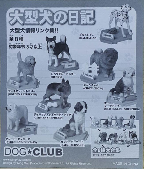 DOG CLUB DALMATIAN HUSKY CHOW CHOW GOLDEN RETRIEVER OLD ENGLISH SHEEPDOG GERMAN SHEPHERD SAINT BERNARD PYRENEAN MOUNTAIN 大型犬之日記 班點狗 雪撬犬 鬆獅犬 金毛尋回犬 英國古代牧羊犬 德國狼狗 聖班納犬 大白熊犬 扭蛋套裝 (BUY-CW)