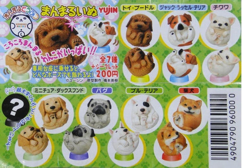 YUJIN 96000 可愛圓狗造形 貴賓犬 傑克羅素㹴 芝娃娃 臘腸犬 八哥 牛頭㹴 柴犬 MANMARU ANIMALS 8種 扭蛋 (BUY)