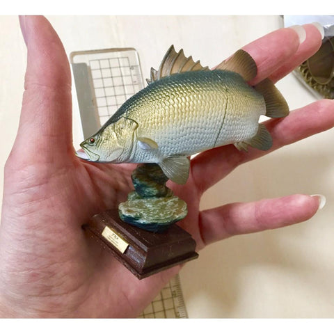KITAN CLUB 奇譚 日本的清流 溪魚 NATURE TECHNI COLOUR 全10種連隱藏版 扭蛋 (BUY-NTC-SPK)