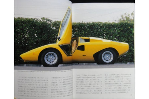NEKO WORLD CAR GUIDE 19 LAMBORGHINI 世界汽車指南 林寶堅尼 ISBN: 4-87366-119-6 (PIU-66119)