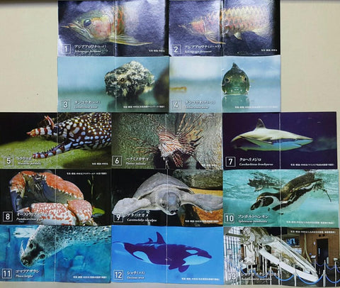 KAIYODO 海洋堂 荒俣宏 日本水族館立體生物圖錄 第三彈 龍吐珠 雀魚 豹紋海鱔 獅子魚 短尾真鯊 澳洲皇帝蟹 豬鼻龜 洪氏環企鵝 斑海豹 虎鯨 殺人鯨 藍鯨(骨格) 扭蛋套裝 ARAMATA HIROSHI CAPSULE AQUARIUM 3 SET (BUY)
