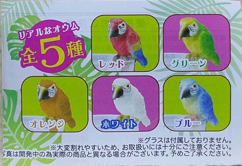 BEAM 78077 A LITTLE PARROT - A REAL PARROT ON THE GLASS SET 小鸚鵡 杯緣子 扭蛋套裝 (BUY-CW)
