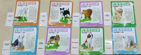 DOG CLUB DALMATIAN HUSKY CHOW CHOW GOLDEN RETRIEVER OLD ENGLISH SHEEPDOG GERMAN SHEPHERD SAINT BERNARD PYRENEAN MOUNTAIN 大型犬之日記 班點狗 雪撬犬 鬆獅犬 金毛尋回犬 英國古代牧羊犬 德國狼狗 聖班納犬 大白熊犬 扭蛋套裝 (BUY-CW)